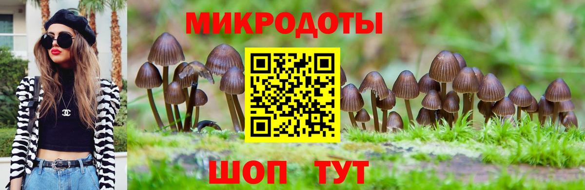 где купить   Вход с VPN  Карачаевск  Галлюциногенные грибы Magic Shrooms 